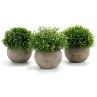 Unyqoos Kunstpflanzen 3er-Set – realistische Deko-Pflanzen aus Kunststoff, 9,5 x 13 cm, 250 g/Stück, umweltfreundlicher Topf, wahlweise Blumen, Sukkulenten oder Efeu