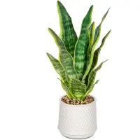 Unyqoos Sansevieria Kunstpflanze 44 cm – pflegeleichte Dekopflanze in weißem Keramiktopf mit Deko-Steinen, Ø 12 cm, Kunststoff
