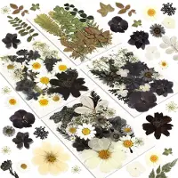 Unyqoos 100 getrocknete Blumen & Blätter – naturbelassen, einzeln vakuumverpackt, DIY-Bastelset für Harzkunst, Scrapbooking, Nageldesign, Kerzen & Karten