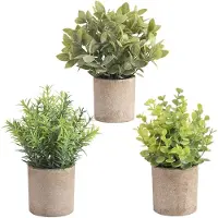 Unyqoos 3er-Set künstliche Eukalyptuspflanzen, 22 cm, grün – pflegeleichte Deko aus hochwertigem Kunststoff mit Topf aus Papierpulp und feinem weißem Puder
