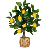 Unyqoos Künstlicher Zitronenbaum 44 cm – pflegeleichte Zimmer-Deko im handgefertigten geflochtenen Topf, realistische Früchte, hochwertige ungiftige Materialien