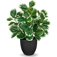 Unyqoos Realistische Kunstpflanze 37 cm im Topf, grün, PE-Kunststoff Blätter, PVC-Topf mit echtem Steinüberzug, verstellbare Zweige, Deko für Zuhause & Büro
