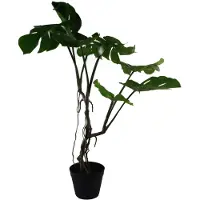 Unyqoos Realistische Monstera-Kunstpflanze, gedrehter Stamm & große grüne Blätter, 60 cm, formbare Stiele, im stabilen Kunststofftopf