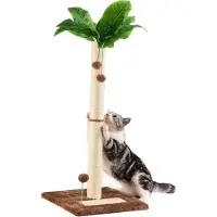 OEM Kratzsäule 80cm hoch Sisal für Katzen Innen Palme mit Spielzeug
