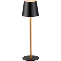 JUST LIGHT EURIA LED AKKU-Tischleuchte Warmweiss Dimmbar 2,5W schwarz/messing IP54 19250-68