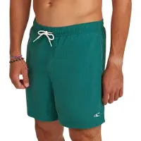 O'Neill Herren Badeshorts VERT 16'' SWIMSHORTS