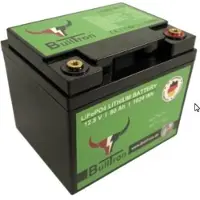 BullTron Lithium Batterie Polar