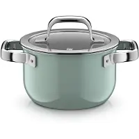 WMF Fusiontec Mineral Pro Kochtopf mit Deckel, 16 cm, Eucalyptus Haze 05.1979.5290, 2 l, Rund, Grün, Edelstahl, Fusiontec, Edelstahl