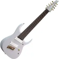Ibanez RGDMS8-CSM Classic Silver Matte