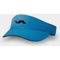 Varlion Coorporate Visier