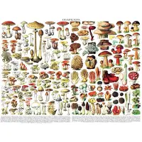 New York Puzzle Company Puzzle Pilze 1000 Teile Vintage Pflanzenmotiv