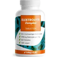 ProFuel - Elektrolyte-Tabletten 1990 mg Elektrolyte pro Tag 360 St Kapseln