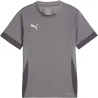 Puma Teamgoal Matchday Jersey jr cast iron-white-shadow gray (13) 176