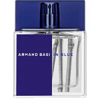 Armand Basi In Blue EDT 100 ml