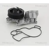 TRISCAN Wasserpumpe 8600 11040
