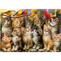 Educa Puzzle Katzen und Vögel 500 Teile Tiere Puzzle
