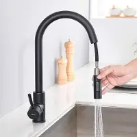 OEM RVS Keukenkraan mit 360 Grad Drehbarkeit - Uittrekbaar - 2 Wasserstrahlen - Spülarmatur mit Gegenstrom - Schwarz