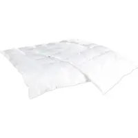 BC-Agentur Betten-Set 135x200cm / 80x80cm, Daunenfeeling Füllung, Bezug aus 100% Baumwolle, maschinenwaschbar und Hausstauballergiker geeignet -