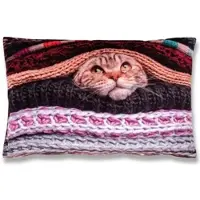 Bestlivings Kissenhülle Fotodruck Katze 40 x 60 cm mit Füllung