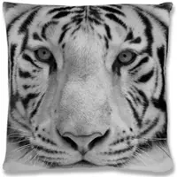 Bestlivings Kissenhülle Fotodruck 40 x 40 cm Tiger Grey mit Füllung