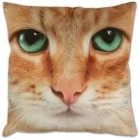 Bestlivings Kissenhülle 2er Pack Fotodruck 40 x 40 cm Katze Beige