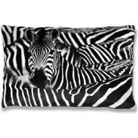 Bestlivings Kissenhülle Fotodruck Zebra 40 x 60 cm mit Füllung