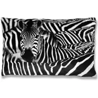 Bestlivings Kissenhülle Fotodruck 2er Pack Zebra 40 x 60 cm