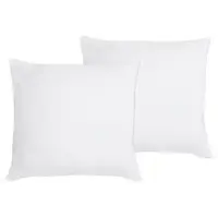 Bestlivings Kopfkissen 2er Pack - Mikrofaserbezug 80x80cm
