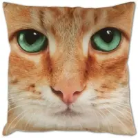 Bestlivings Kissenhülle Fotodruck 40x40 Katze beige mit Füllung