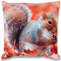 Bestlivings Kissenhülle Fotodruck 2er Pack Eichhörnchen 40 x 40 cm