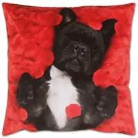 Bestlivings Kissenhülle 2er Pack Fotodruck 40 x 40 cm Hund