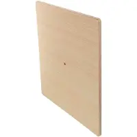 Markenlos Katzen Kletterbrett aus Holz 35x35cm Treppe für Katzenklettergerüst Aussichtsplattform für den Innenbereich
