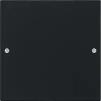 Gira System 55 Taster-Bussystem - 2181005
