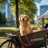 Carqon Smart Bar schwarz, für Classic, Cruise