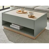 Furn.Design Couchtisch "Center" in Salbei Grün und Eiche, Sofatisch 90 x 60 cm mit Stauraum