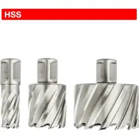 EUROBOOR 21005505501004 HCL.550 Kernbohrer, HSS, D 55 mm, DoC 55 mm, Weldon