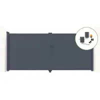 Casanoov Flügeltor Elektrisch Eiger 300x180cm & Drehtorantrieb Bunker B500