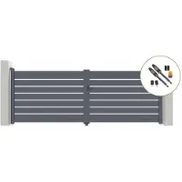 Casanoov Flügeltor Elektrisch Vogel 400x140cm & Drehtorantrieb Tanker B700