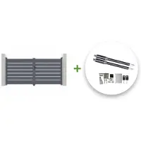 Casanoov Flügeltor Elektrisch Vogel 300x140cm & Drehtorantrieb Ranger B150