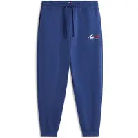 Tommy Hilfiger Jogginghose DM0DM23903 Blau Regular Fit