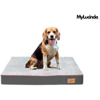 OEM Hundematte für Klein- und Mittelhunde - 80x50 cm - Widerstandsfähig gegen Wasser und Waschbar - Anti-Rutsch- und Komfort-Hundebett