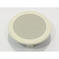 Visaton ML 16 A (NCS S0500-N) - 100 V Loftshøjtalere 1 stk