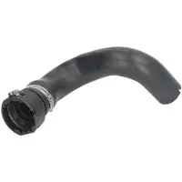 THERMOTEC Kühlerschlauch DWF073TT