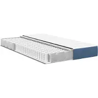 vidaXL Bettmatratze mit Matratze Blau 120 x 200 cm Stoff
