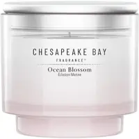 Chesapeake Bay Ocean Retreat 127g