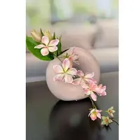 Tiziano Vase Donato 21cm Benuta