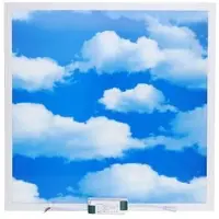 LECOM LED Panel mit Wolkeneffekt 62,0 x 62,0 cm