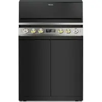 Miele Fire Pro L 4PB Grill mit Einlegeboden