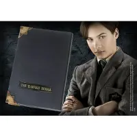 Harry Potter Tom Riddle Diary (3) (NN7263)