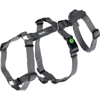 Kerbl Miami Hundegeschirr Grau 15 mm x 38-52 cm Grau 15 mm x 38-52 cm